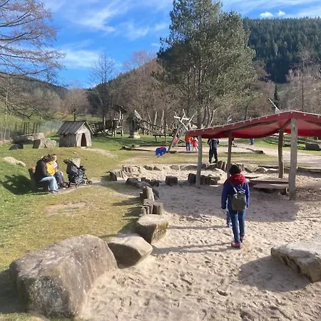 Apartamento Schwarzwaldausblick - Umweltfreundlich & Pool Baiersbronn