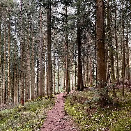 Apartamento Schwarzwaldausblick - Umweltfreundlich & Pool *
