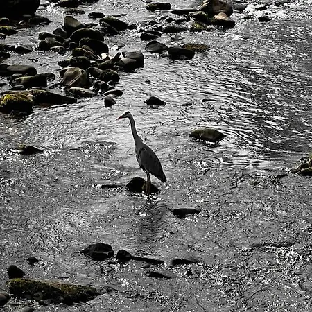 Apartamento Schwarzwaldausblick - Umweltfreundlich & Pool Baiersbronn