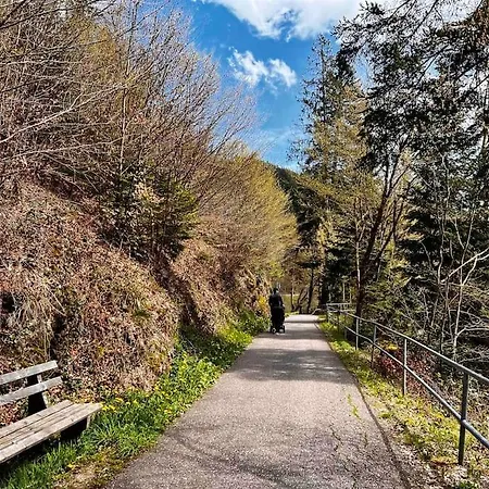 Schwarzwaldausblick - Umweltfreundlich & Pool Baiersbronn