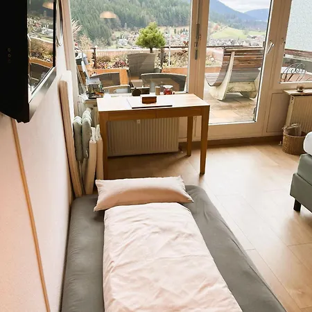Schwarzwaldausblick - Umweltfreundlich & Pool Apartamento