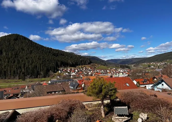 Schwarzwaldausblick - Umweltfreundlich & Pool *