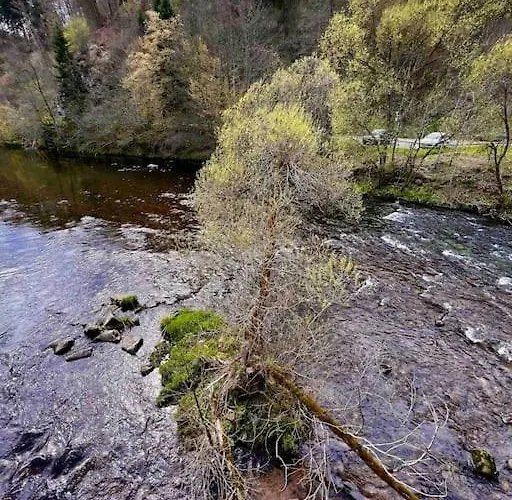 Schwarzwaldausblick - Umweltfreundlich & Pool